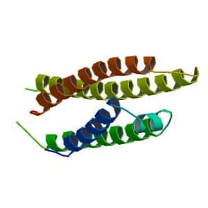 Alzheimer disease hereditary