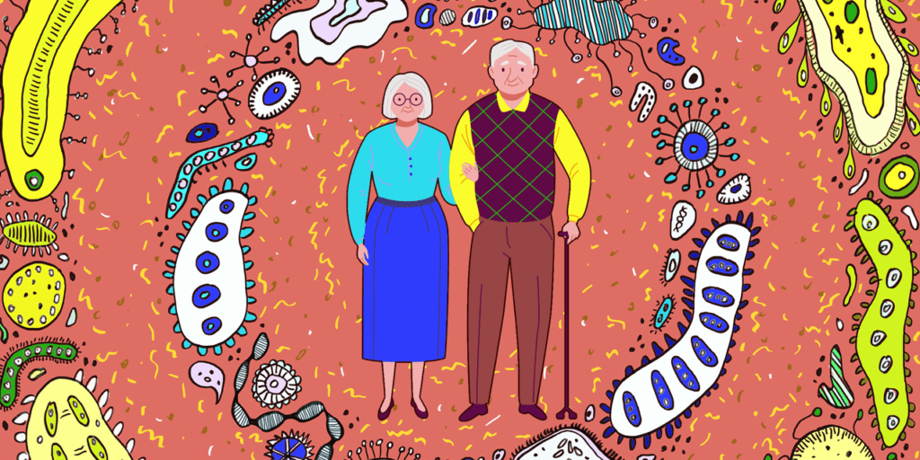 Elderly-microbiome-1024×578 longevity and aging