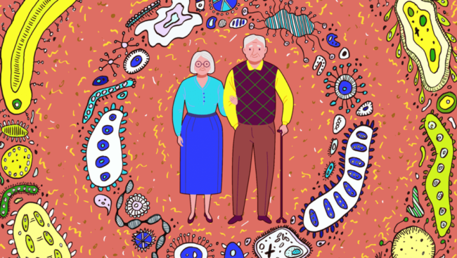 Elderly-microbiome-1024×578 longevity and aging