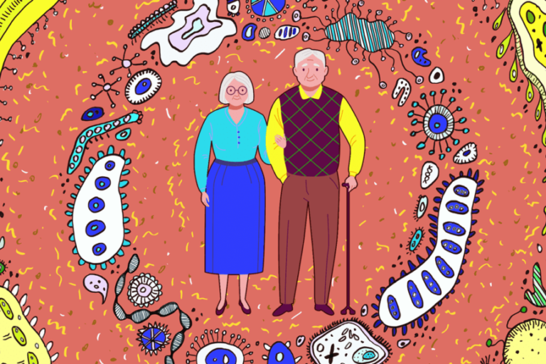 longevity and aging