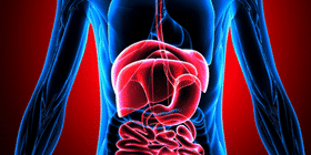 GI Tract Health & Problems