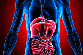 GI Tract Health & Problems
