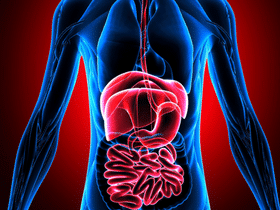 GI Tract Health & Problems