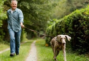 back pain products and tips