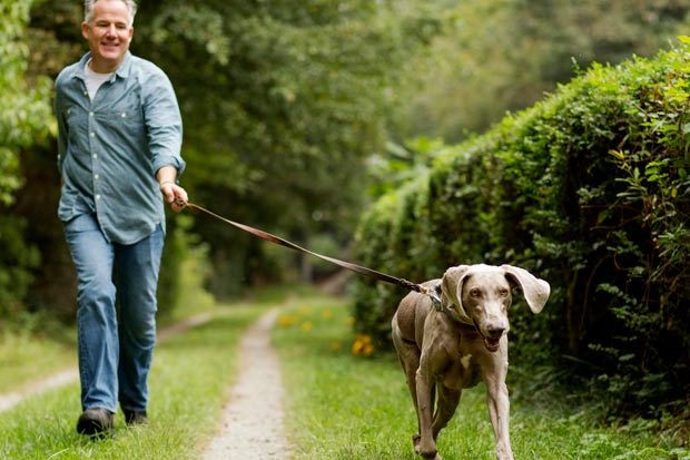 back pain products and tips, walking