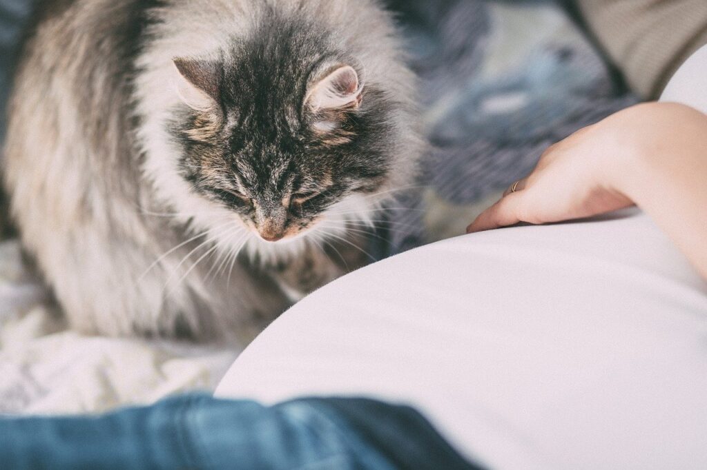 Cat Allergies